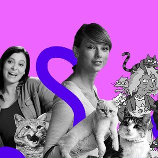 crazy cat lady stereotype sexist