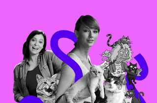 crazy cat lady stereotype sexist