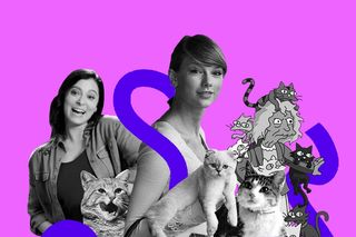 crazy cat lady stereotype sexist