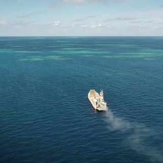 coral reef bleaching