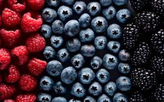 are antioxidant supplements good for you