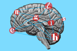 cognitive science english