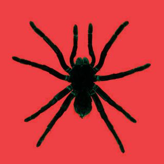 what are phobias