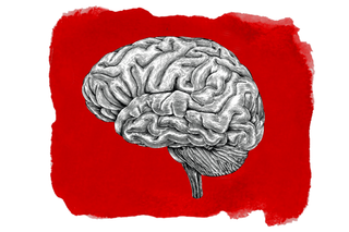 how menopause affects brains