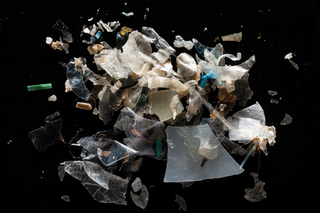 microplastics in food