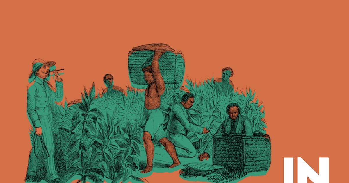 How Colonialism Shaped India S Attitude Towards The Environment And