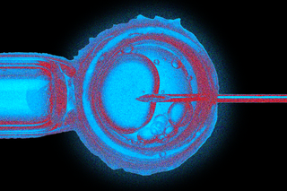 trans men having children