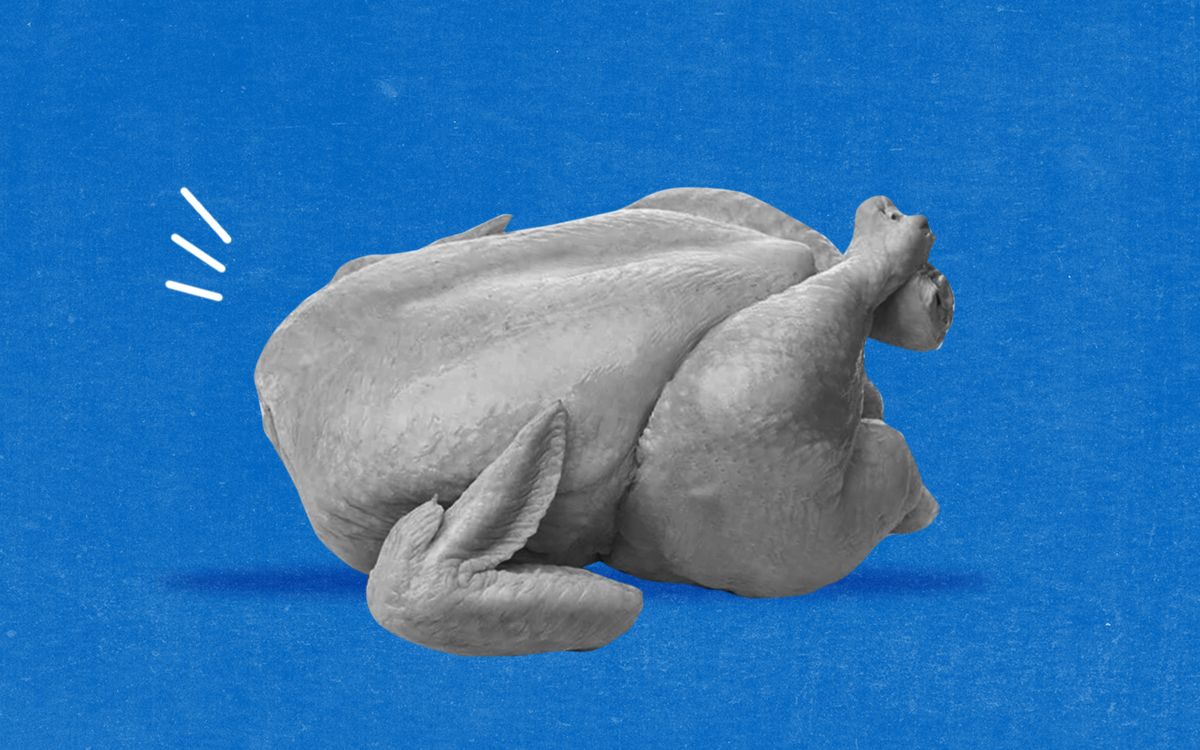 BUMP OF CHICKEN デモテープ　NO REASON Bump Of Chicken – No Reason – Cassette (), 1997 [r24621596] | Discogs