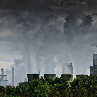 natural vegetation helps reduce pollution