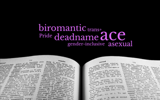 dictionary.com biromantic