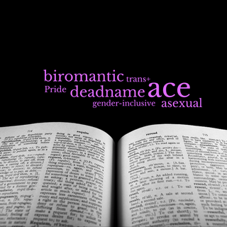 dictionary.com biromantic