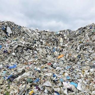 toxic plastic-eating bacteria