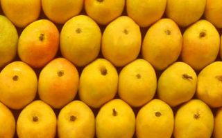are mangoes good for you