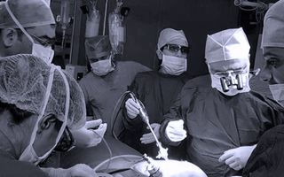 uterine transplant pregnancy