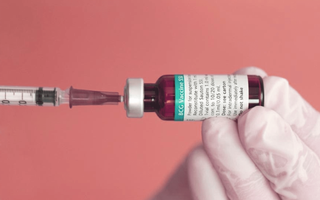 are bcg vaccines effective against covid 19