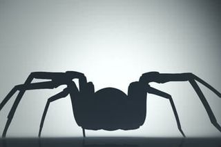 overcome a phobia