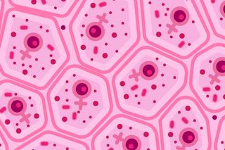 autoimmune disorder causes