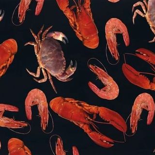 biodegradable plastics