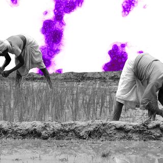 women living with filaria