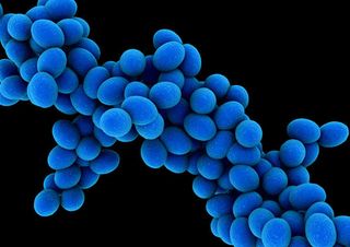 antibiotic-resistant-infections-web.jpg
