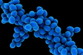 antibiotic-resistant-infections-web.jpg