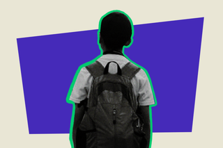 mental health days off illinois