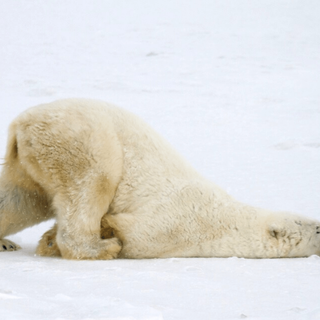 the science behind boredom