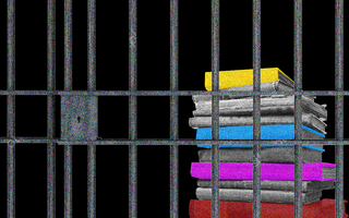 jailed convicts fundamental rights india