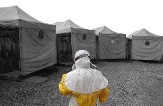 ebola virus treatment