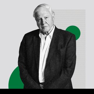 david attenborough environment