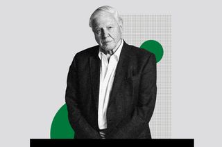 david attenborough environment