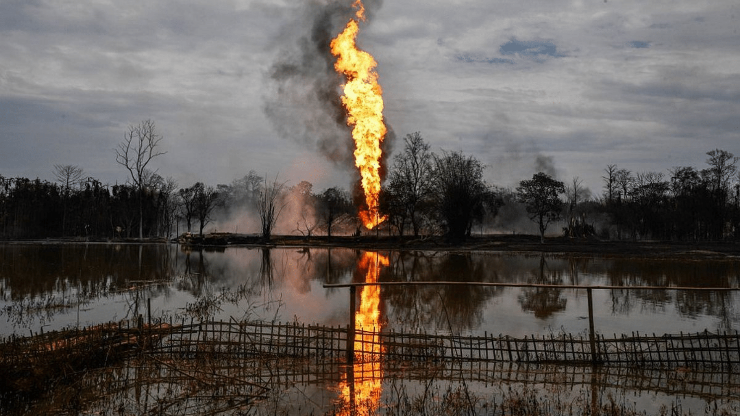 Assam Baghjan Oil Disaster environment damage