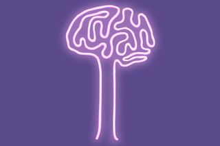 brain plasticity