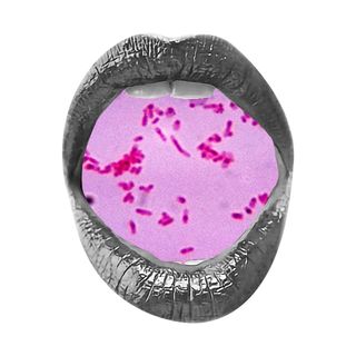 oral sex bacterial vaginosis