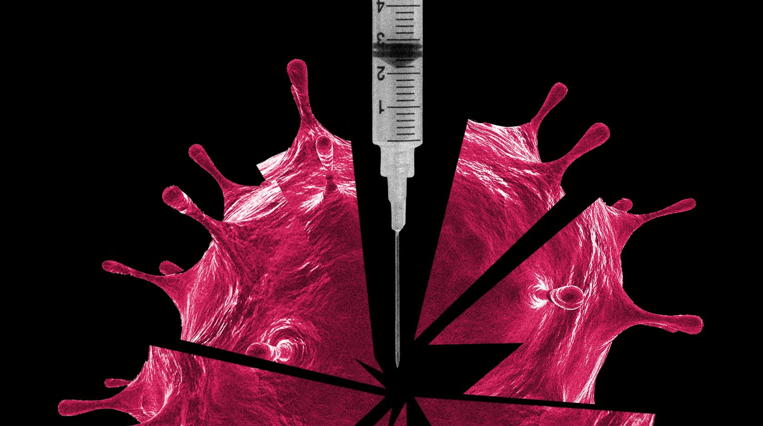 is covid19 vaccine safe