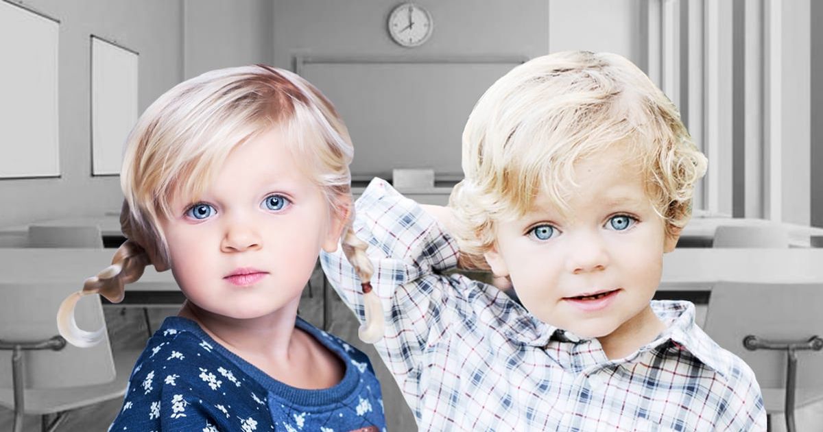 The Results of Sweden’s Extreme Gender‑Neutral Education The Swaddle