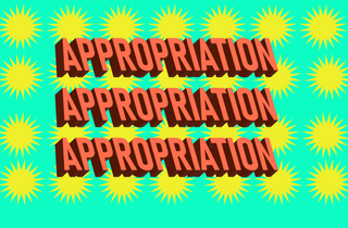 what does appropriation mean