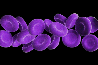 new blood type