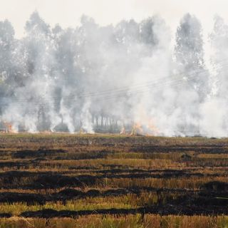 stubble burning health