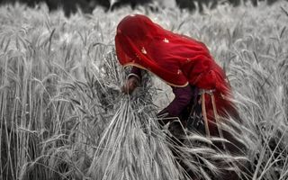women's unpaid agriculture work