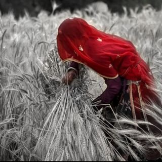 women's unpaid agriculture work