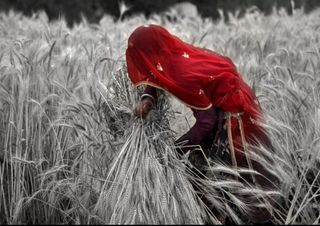 women's unpaid agriculture work