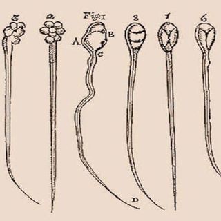 how marijuana affects men's sperm