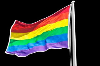 gay rights section 377