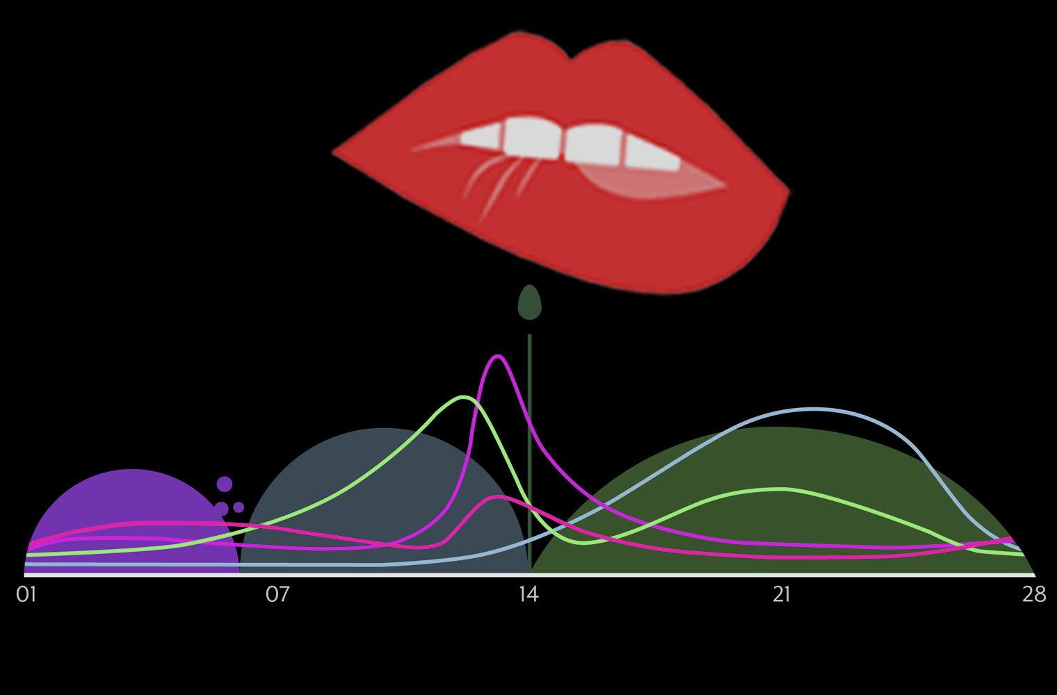 Women s Sex Drive Fluctuates Throughout the Menstrual Cycle The