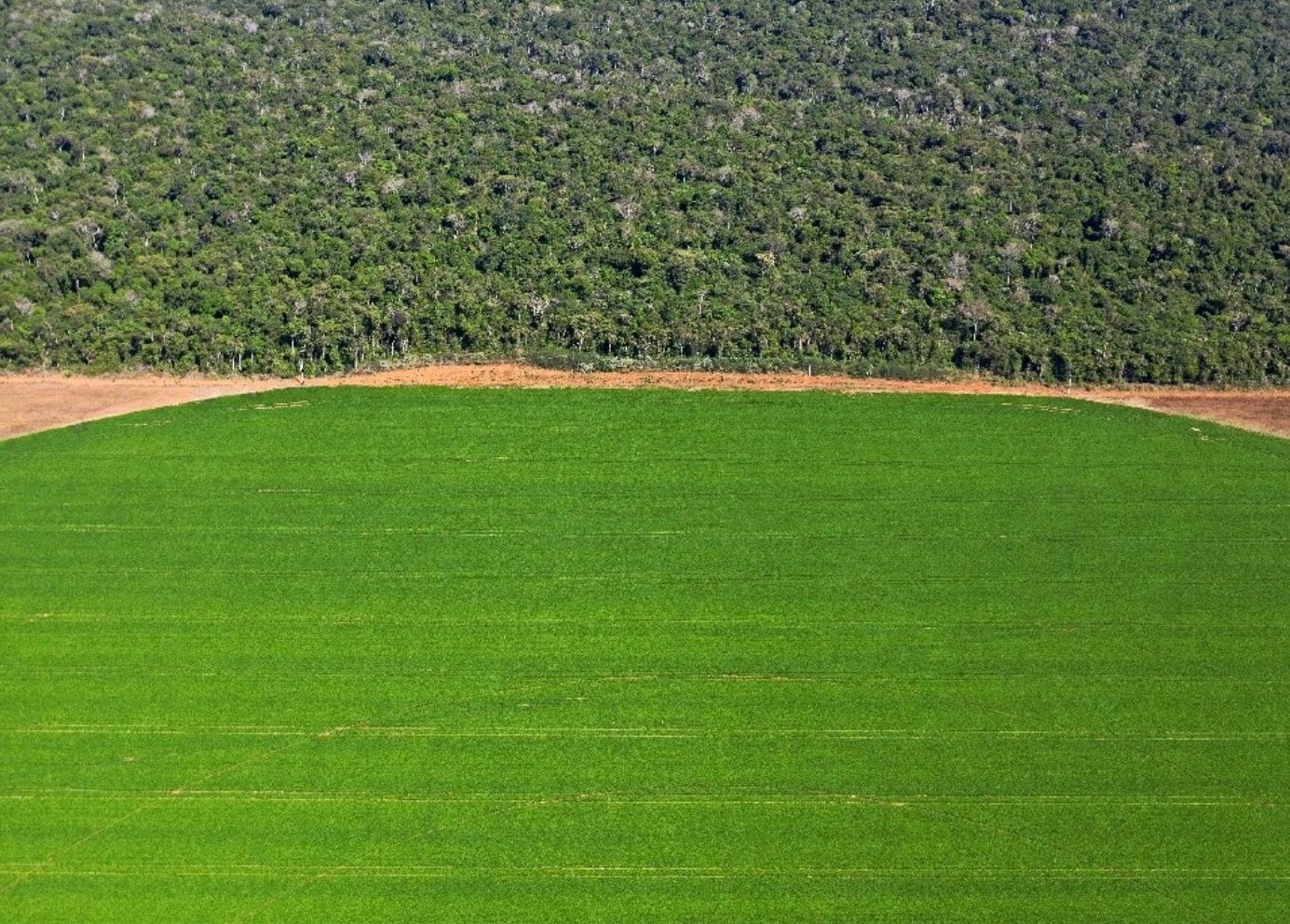 is biodiversity at risk