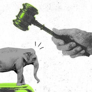 happy the zoo elephant personhood