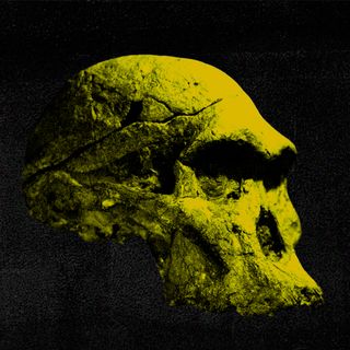 oldest human ancestor fossil