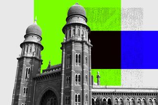 madras hc nature legal rights