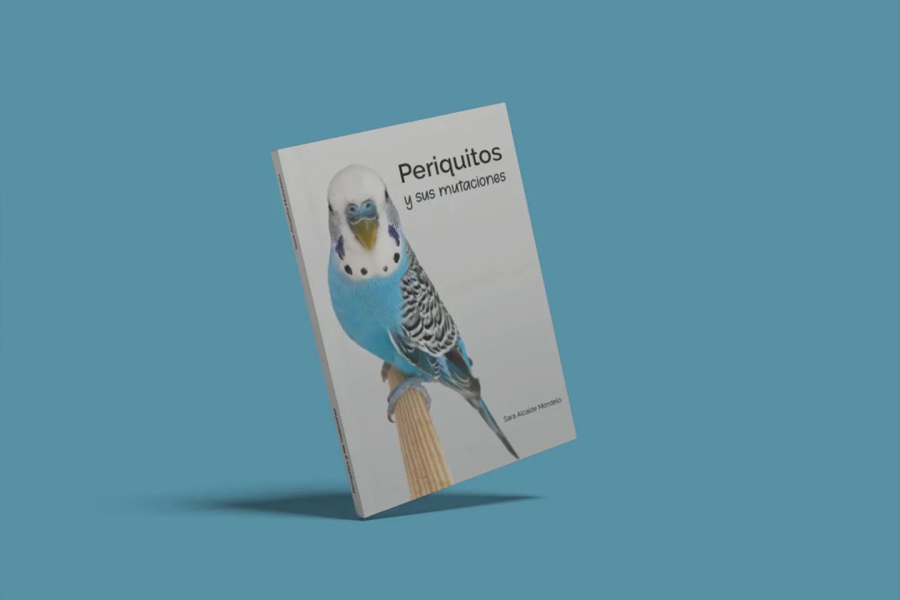 Periquitos y sus mutaciones - mockup